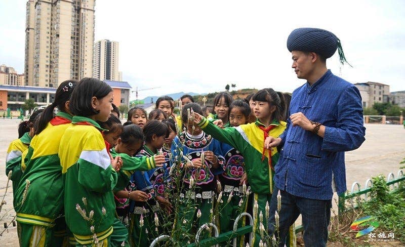 松桃第六完小:中医药科普进校园 播撒文化传承种子