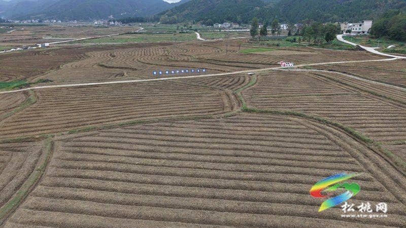 普觉镇：农机“唱主角” 5800亩油菜种植高效推进