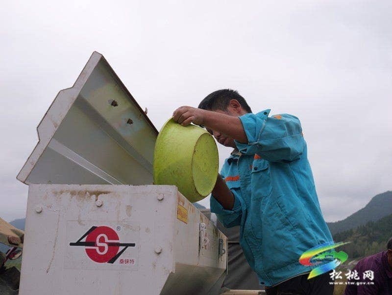 普觉镇：农机“唱主角” 5800亩油菜种植高效推进