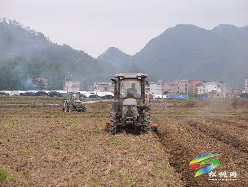 普觉镇：农机“唱主角” 5800亩油菜种植高效推进