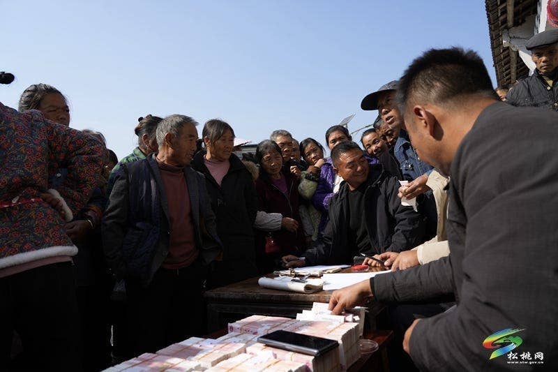 “家门口就业”促增收 羊肚菌基地为340余名工人发放11月薪资