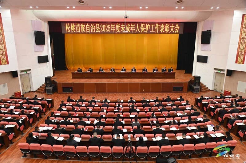 全县2025年度未成年人保护工作表彰大会召开