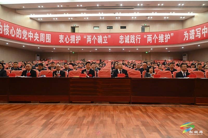 全县2025年度未成年人保护工作表彰大会召开