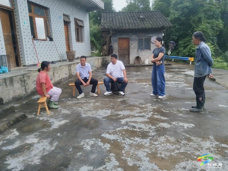 病魔无情人有情  爱心接力暖校园——寨英镇完小为患病学生爱心捐款