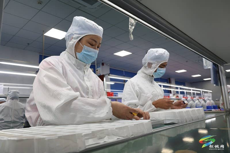 千里之外“种”下希望——东西部协作的松桃答卷