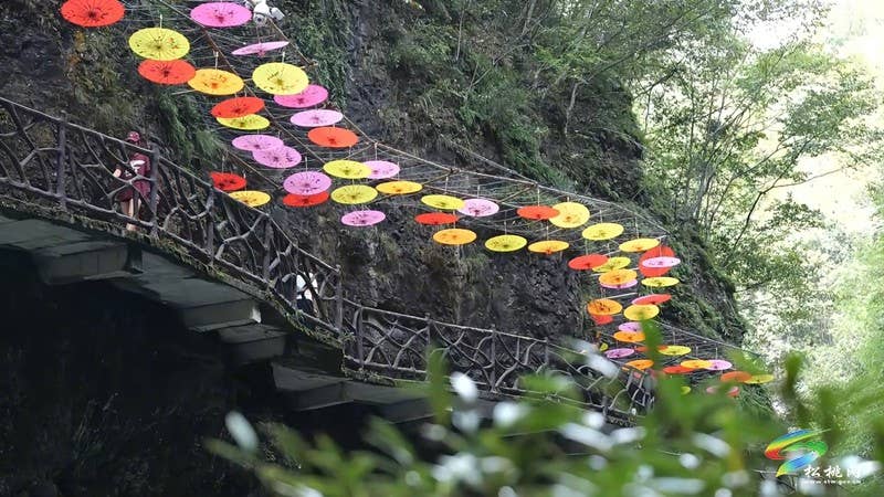 【神奇松桃·魅力苗乡】铜仁大峡谷：峡谷觅清凉  趣玩度盛夏
