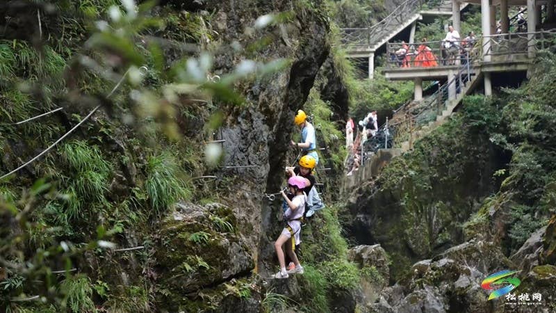 【神奇松桃·魅力苗乡】铜仁大峡谷：峡谷觅清凉  趣玩度盛夏