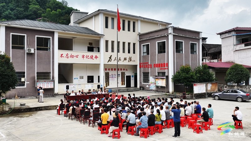 助学筑梦 从“容”启航