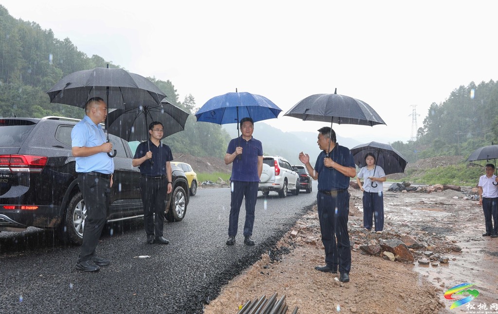 陈琪调研松桃太平营至孟溪公路改扩建工程项目建设情况