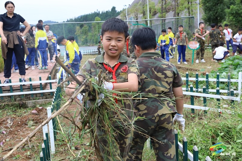 松桃第七完小：田间除草忙  劳动促成长