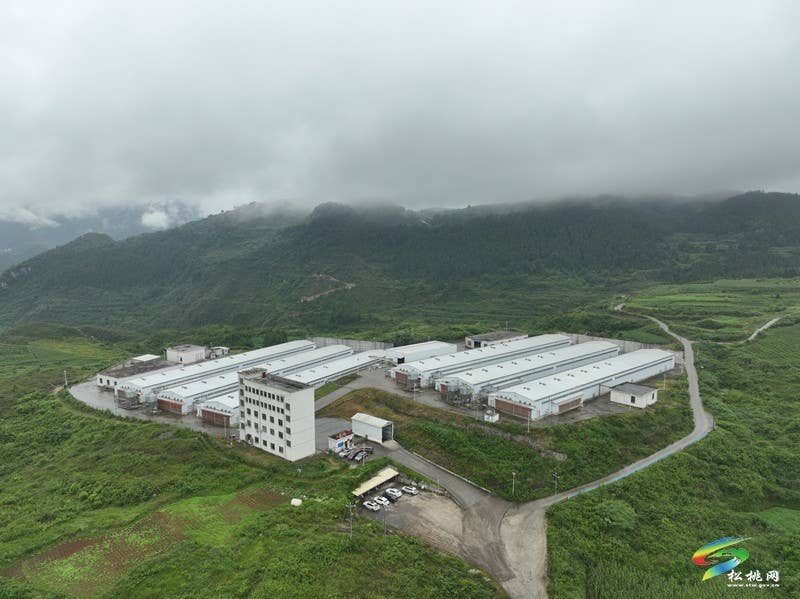 【神奇松桃·魅力苗乡】松桃：党建引领产业升级   “小鸡蛋”撬动“大民生”