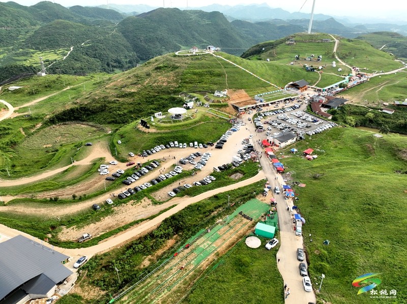 【神奇松桃·魅力苗乡】黔东草海业态升级  避暑近郊游持续走红
