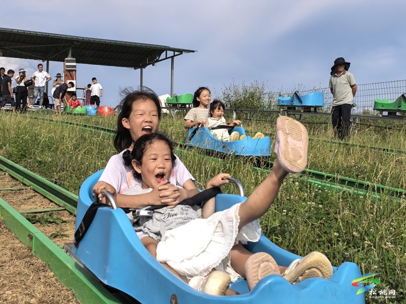 【神奇松桃·魅力苗乡】黔东草海业态升级  避暑近郊游持续走红